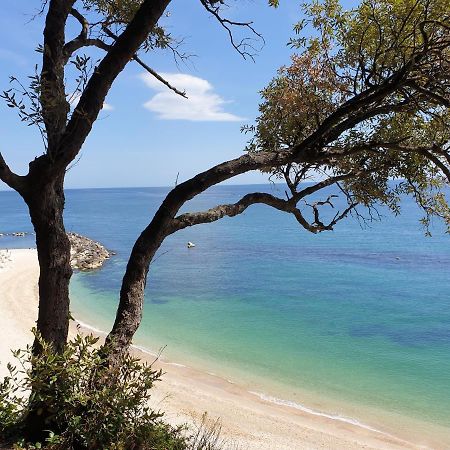 La Dolce Vita Castelfidardo Εξωτερικό φωτογραφία