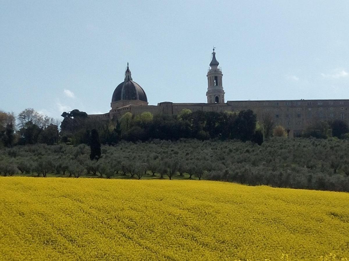 La Dolce Vita Castelfidardo Εξωτερικό φωτογραφία
