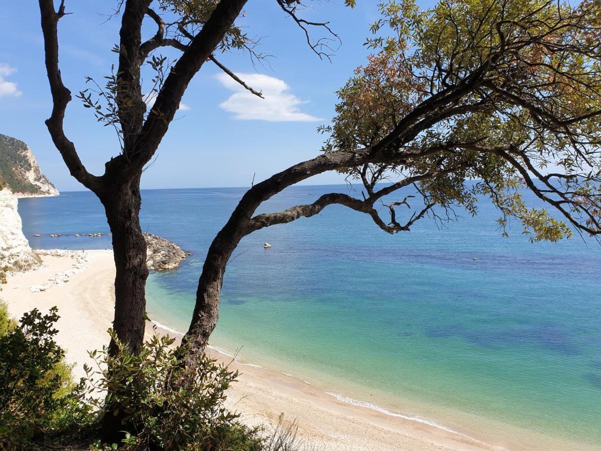 La Dolce Vita Castelfidardo Εξωτερικό φωτογραφία